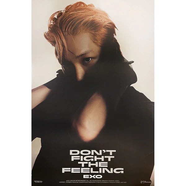 EXO - DON'T FIGHT THE FEELING (JEWEL CASE VER) OFFICIAL POSTER - KAI