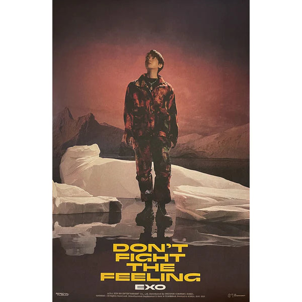 Kpop Design Baekhyun EXO [ Don't Fight The Feeling ] - Kpop