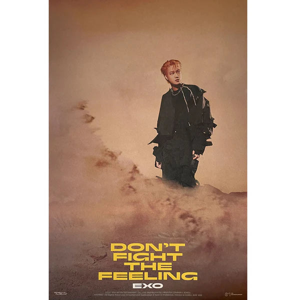 EXO - DON'T FIGHT THE FEELING (PHOTOBOOK A VER) OFFICIAL POSTER - KAI