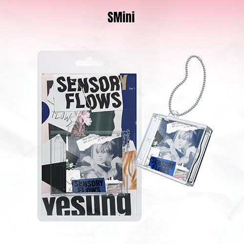 YESUNG (예성) 1ST ALBUM - [Sensory Flows] (SMini Ver. / Smart Album)