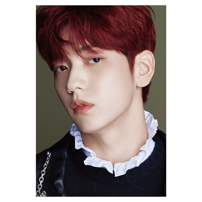 TXT (D'FESTA) DISPATCH 10th ANNIVERSARY